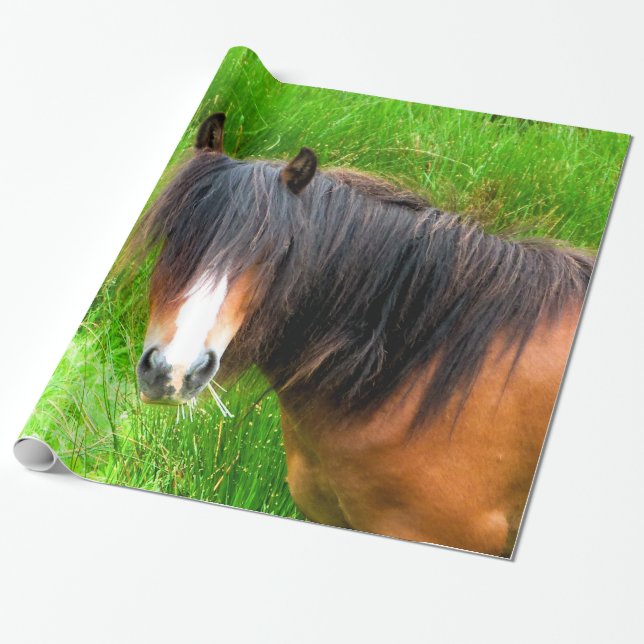 PAPIER CADEAU CHEVAUX (Déroulé)