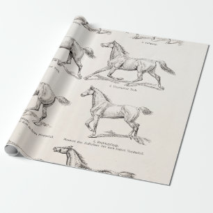 Papier Cadeau Chevaux vintages d'illustration de démarches de