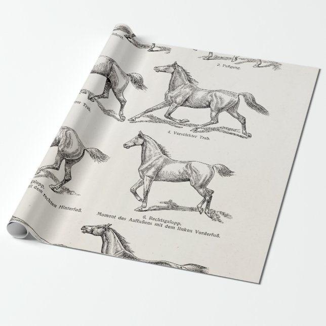 Papier Cadeau Chevaux vintages d'illustration de démarches de (Déroulé)