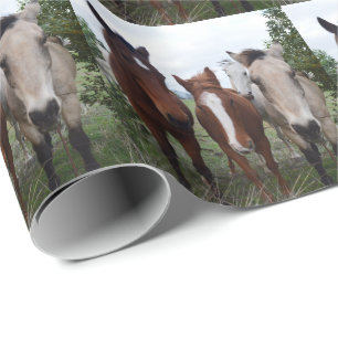 Papier Cadeau Cheveux Frisqués : De Bons Problèmes De Cheval,