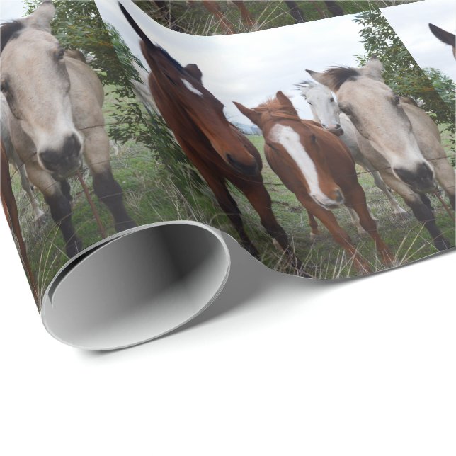 Papier Cadeau Cheveux Frisqués : De Bons Problèmes De Cheval, (Coin rond)