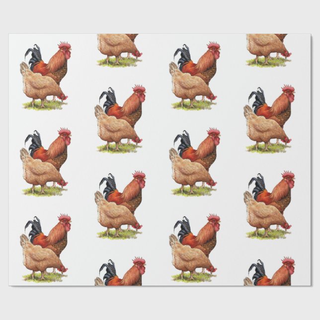 Papier Cadeau Chicken And Rooster Art, Poultry, Farm Animals (Plat)