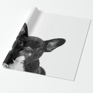 Papier Cadeau Chien adorable | Black French Bulldog Face