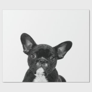 Papier Cadeau Chien adorable Black French Bulldog Face