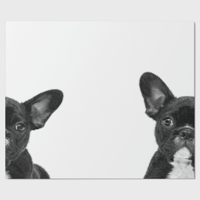 Papier Cadeau Chien adorable | Black French Bulldog Face (Couture)