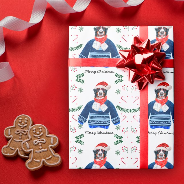 Papier Cadeau Chien Bernois portant un pull de Noël Festif (Créateur téléchargé)