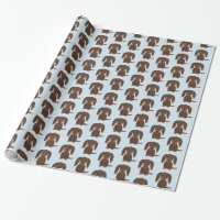 Chien brun chocolat à cheveux longs mignon de