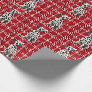 Papier Cadeau Chien Dalmatien Fêtes Plaid Rouge de Noël