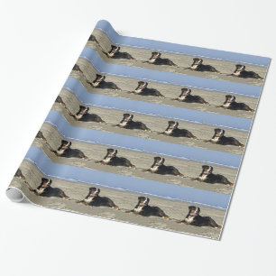 Papier Cadeau Chien de montagne bernois