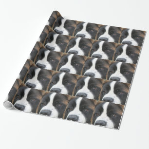 Papier Cadeau Chien de St Bernard