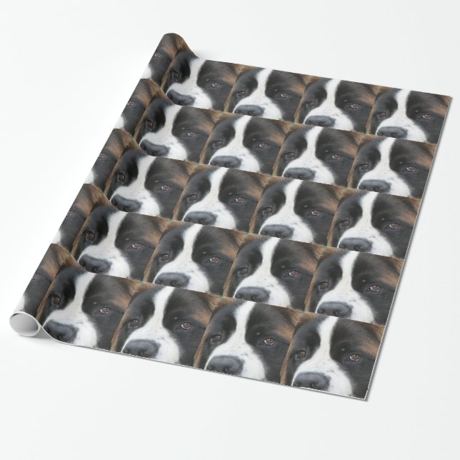 Papier Cadeau Chien de St Bernard (Déroulé)