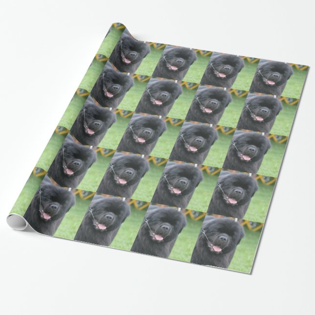 Papier Cadeau Chien de Terre-Neuve (Déroulé)