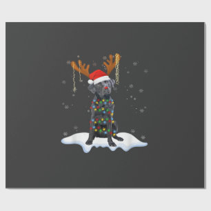 Papier Cadeau Chien en pyjama avec lumières de sapin de Noël Lab