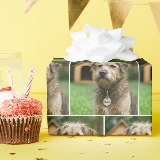 Papier Cadeau Chien Hirsute Adopté Avec Niche (Fête d'anniversaire)