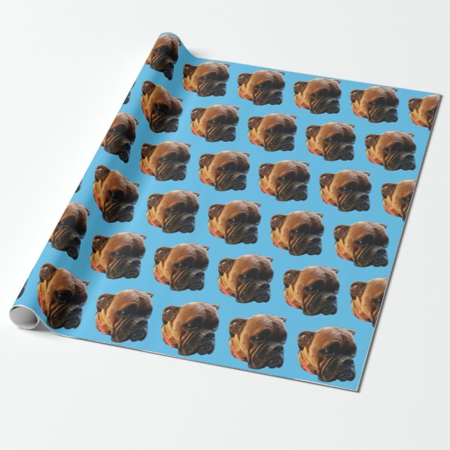 Papier Cadeau Chien Photo Boxer Chien Chien Chien Bleu Clair Per (Déroulé)