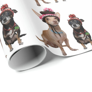 Papier Cadeau Chiens de chiwawa dans des casquettes