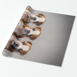 Papier Cadeau Chiens de taupe mignons Cadeau Amoureux des chie