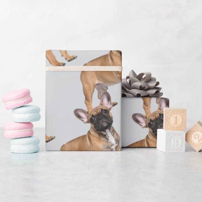 Papier Cadeau chiot Bouledogue Français (Baby Shower)