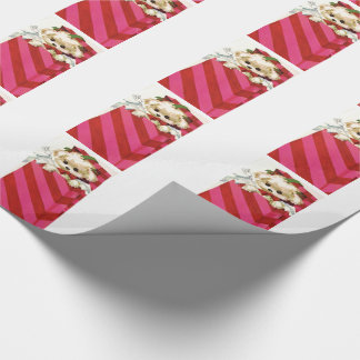 Papier Cadeau Chiot vintage doux Bichon Lhasa de Noël maltaise