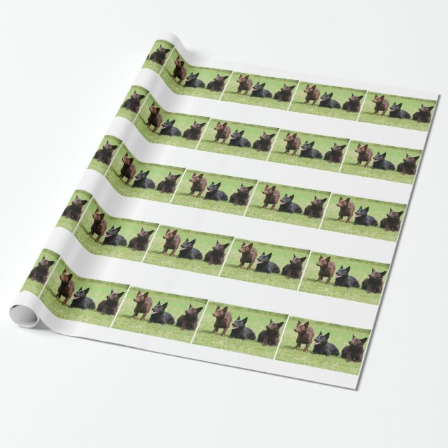 Papier Cadeau Chiots australiens de Kelpie (Déroulé)