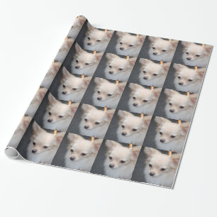Papier Cadeau Chiwawa