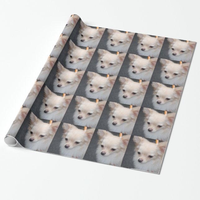 Papier Cadeau Chiwawa (Déroulé)