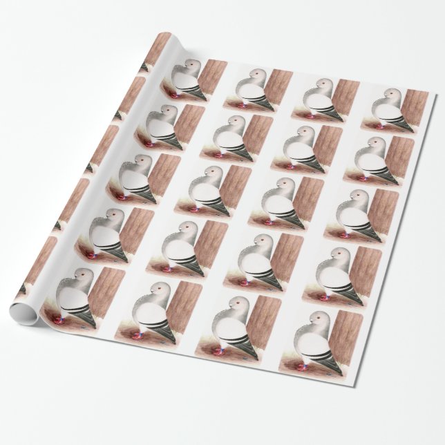 Papier Cadeau Chouette d'Afrique bleue Pigeon (Déroulé)