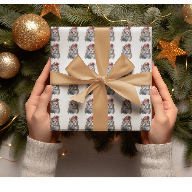 Papier Cadeau Chouette d'hiver enchantée (Créateur téléchargé)