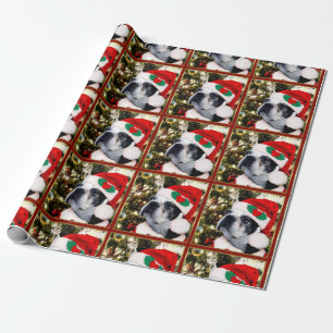 Papier Cadeau Christmas Boston Terrier dog