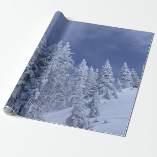 Papier Cadeau Ciel bleu à l'hiver