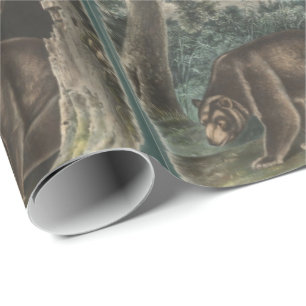 Papier Cadeau Cinnamon Bear par John James Audubon