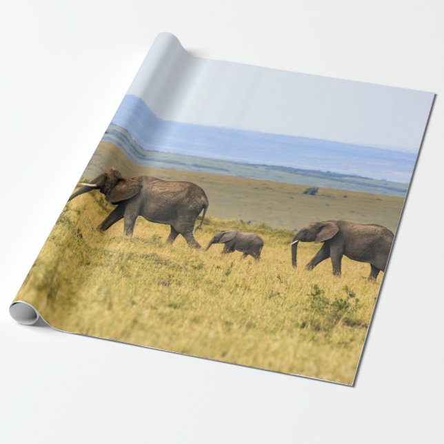 PAPIER CADEAU CINQ ÉLÉPHANTS EN GRAS BROWN (Déroulé)