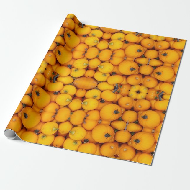 PAPIER CADEAU CITROUILLE GIFTWRAP (Déroulé)