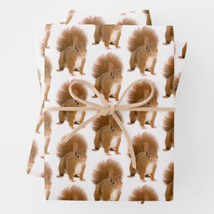 Papier Cadeau Classique Écureuil Roux Fluffy