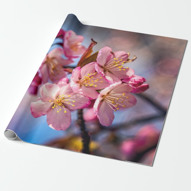 Papier Cadeau Cluster De Fleurs De Cerisiers Sakura Dans Le Vent (Déroulé)