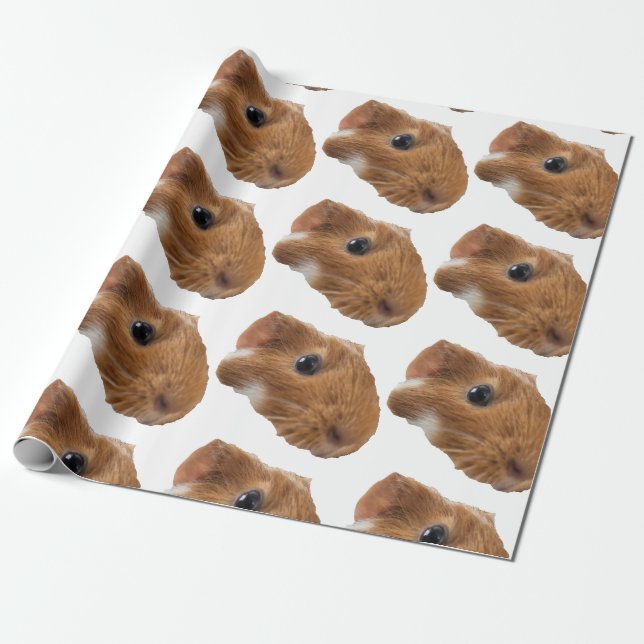 Papier Cadeau cobaye (Déroulé)