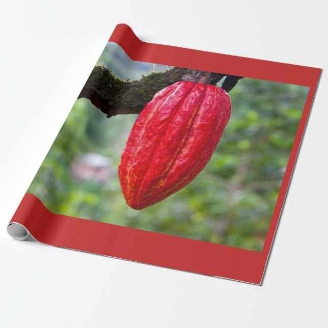 Papier Cadeau cocod (Déroulé)