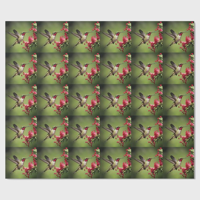 Papier Cadeau Colibri coloré (Plat)
