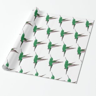 Papier Cadeau Colibri vert