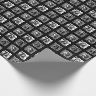 Papier Cadeau Collage d'animaux de compagnie noir et blanc