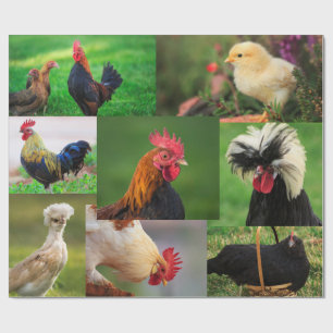 Papier Cadeau Collage photo de la ferme de poulets