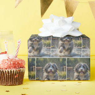 Papier Cadeau Collie Arrosé S'Éclaboussant Dans La Poubelle