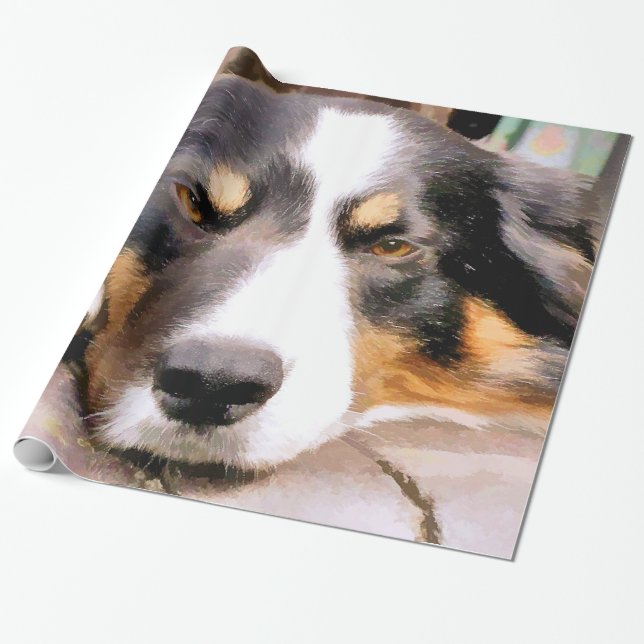 PAPIER CADEAU COLLIE FRONTALIÈRE (Déroulé)
