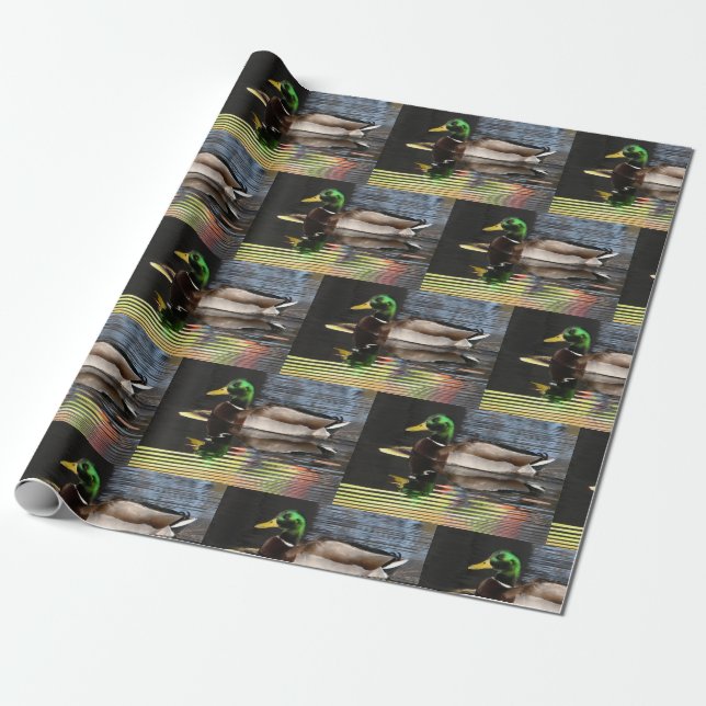 Papier Cadeau Colorful Mallard Duck Water Reflections (Déroulé)