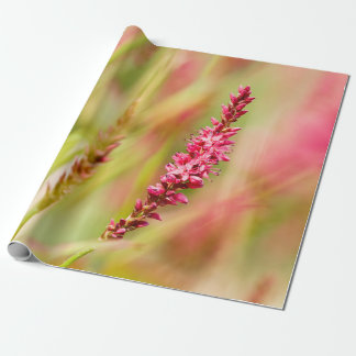 Papier Cadeau coloris