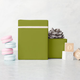 Papier Cadeau Coloris vert clair uni