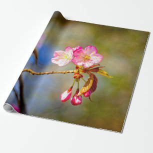 Papier Cadeau Composition Naturelle Des Fleurs Sakura