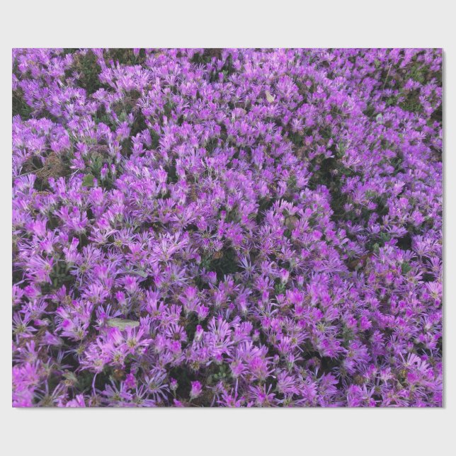 Papier Cadeau Conception florale en violet (Plat)