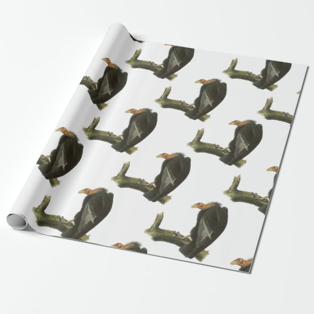 Papier Cadeau Condor de Californie par Audubon (Déroulé)