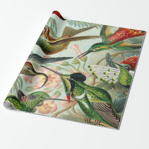 Papier Cadeau Copie d'art d'Ernst Haeckel : Trochilidae